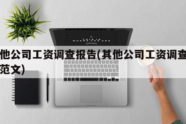 其他公司工资调查报告(其他公司工资调查报告范文)